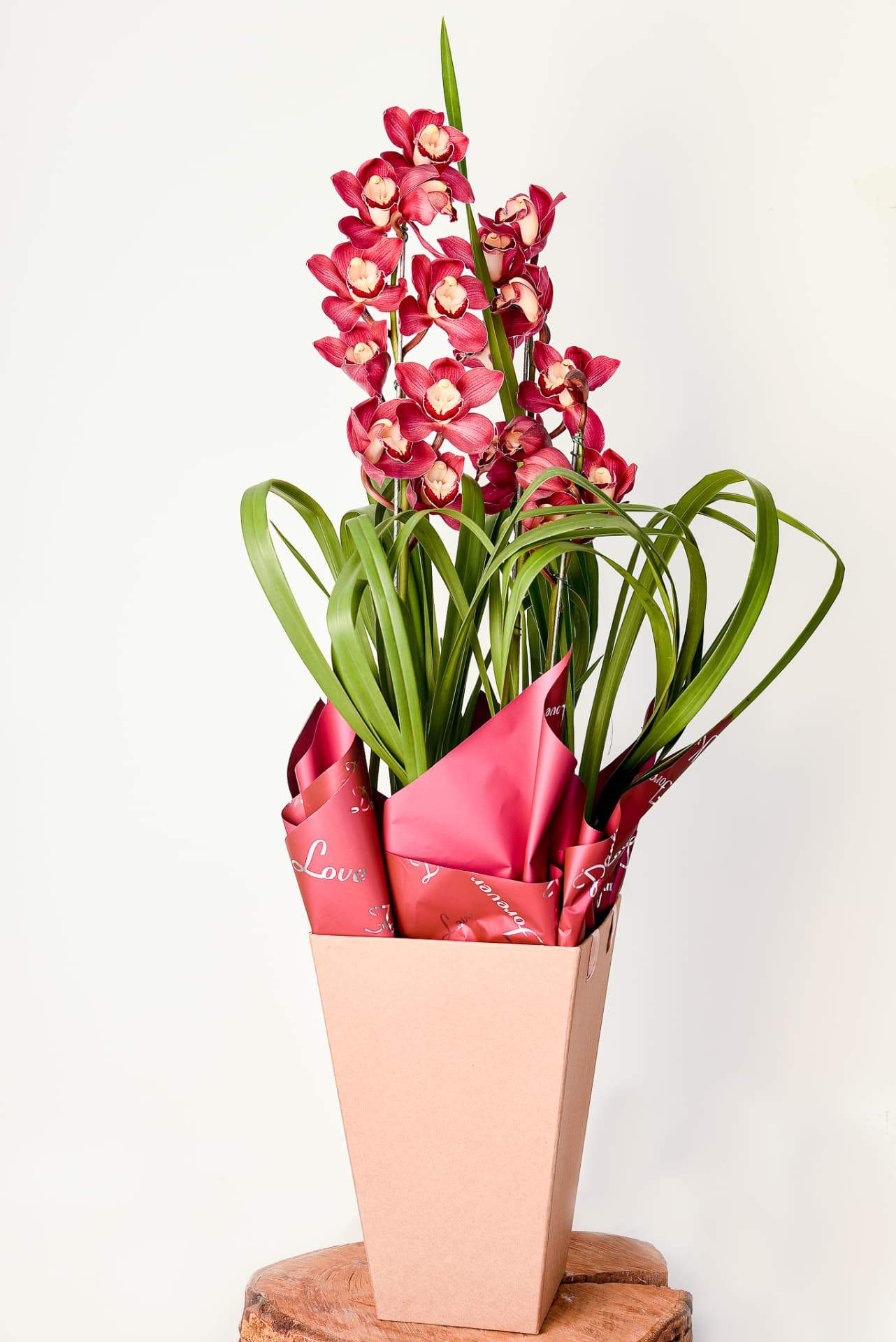 Orquídea Especial 07 — Cymbidium Vermelha