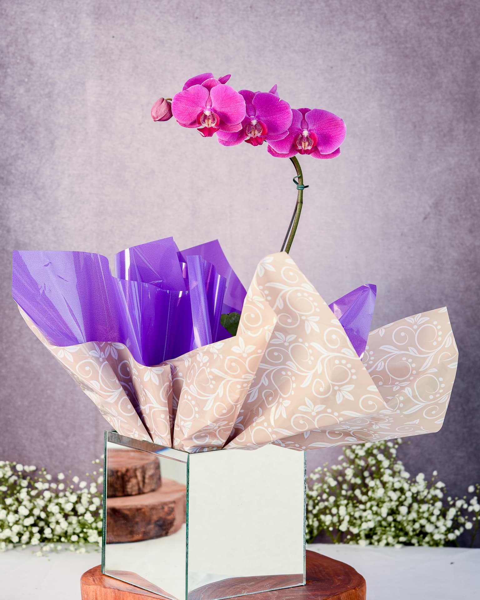 Orquídeas