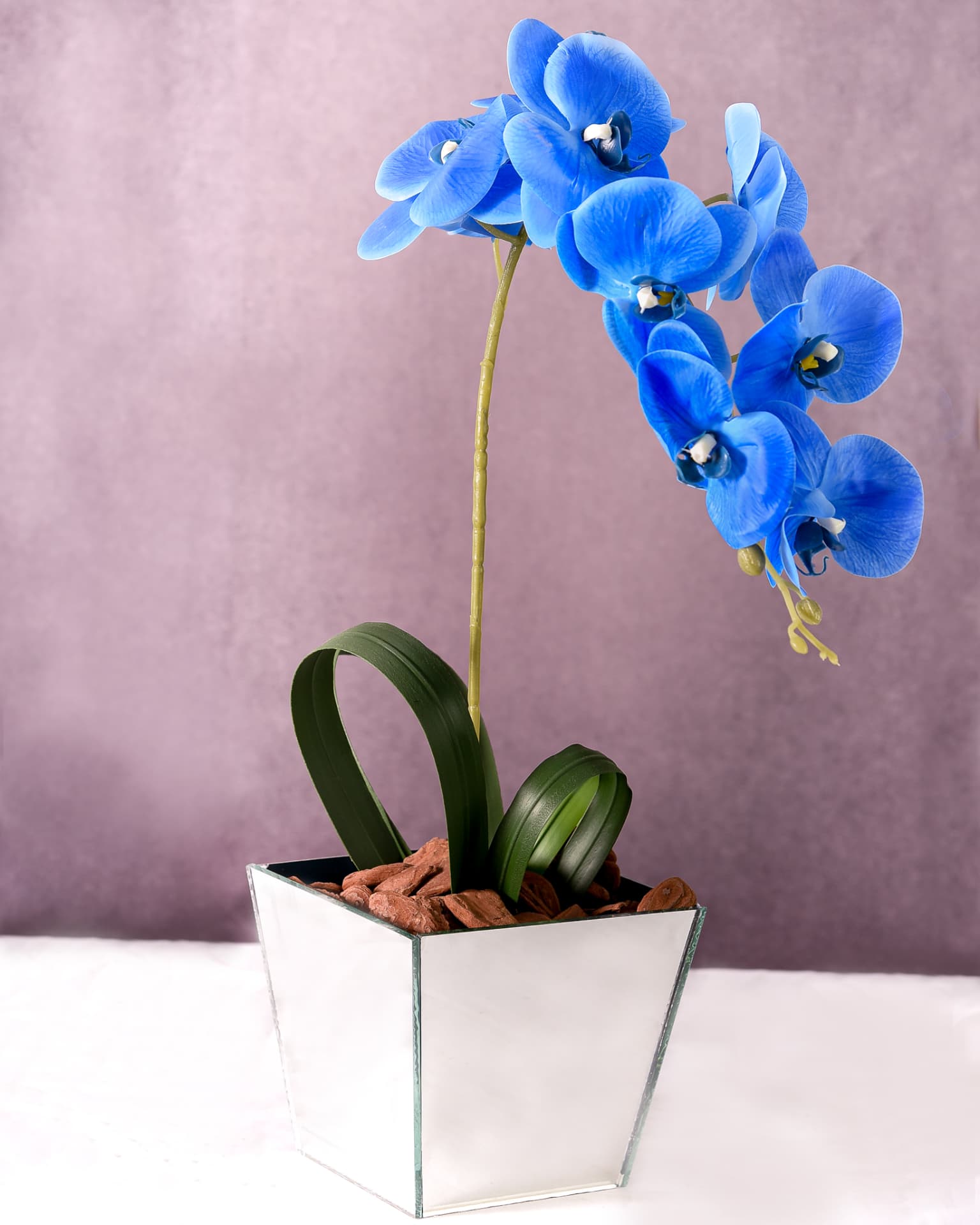Orquídea Especial 06 — Orquídea Azul no Vaso Espelhado