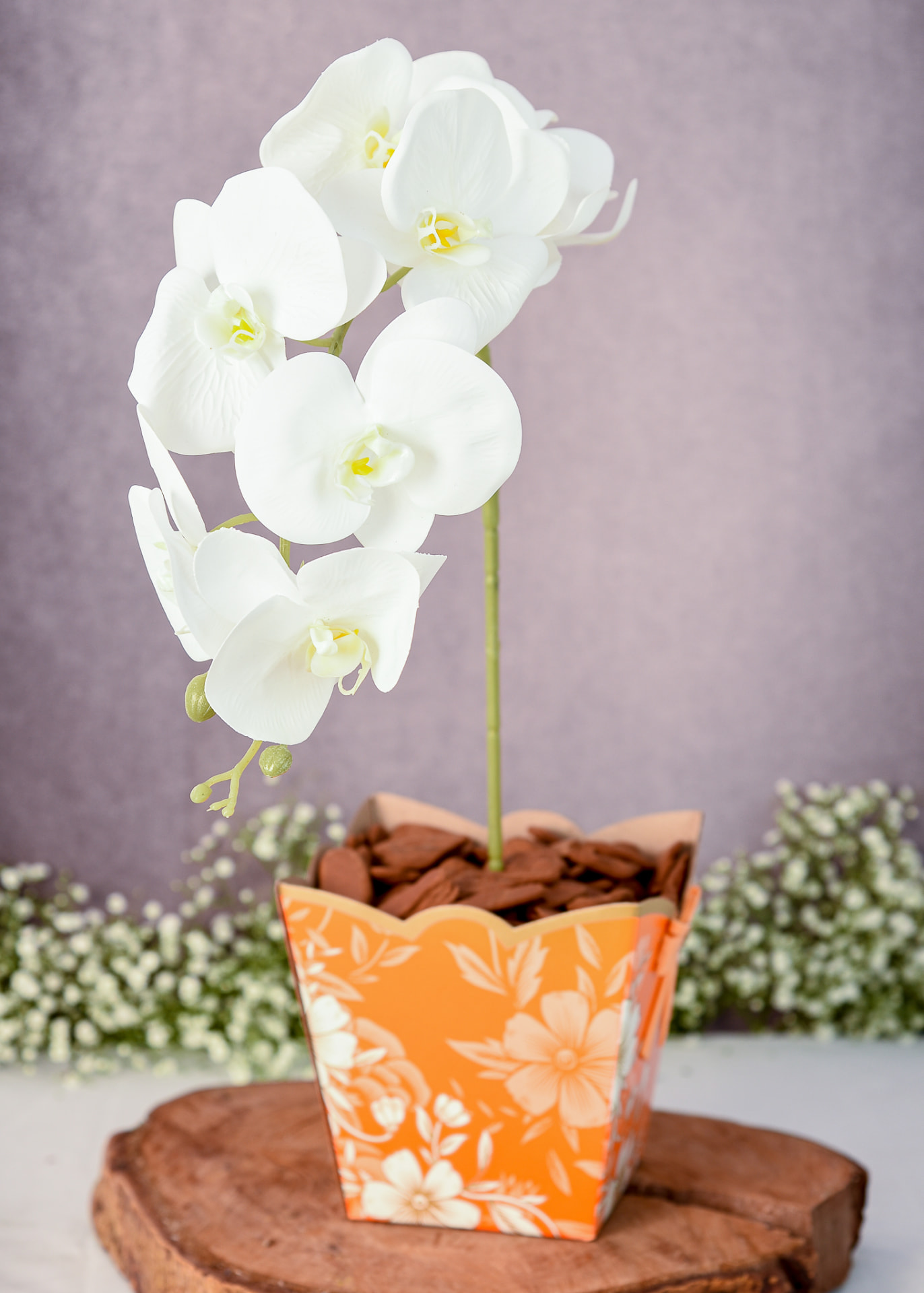 Orquídea Especial 09 — Phalaenopsis Branca Cachepô Laranja