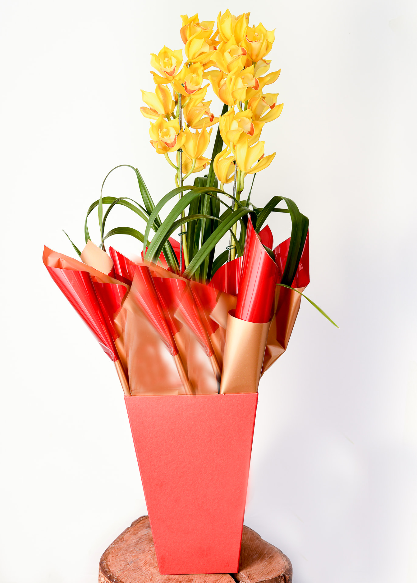Orquídea Especial 08 — Cymbidium Amarela