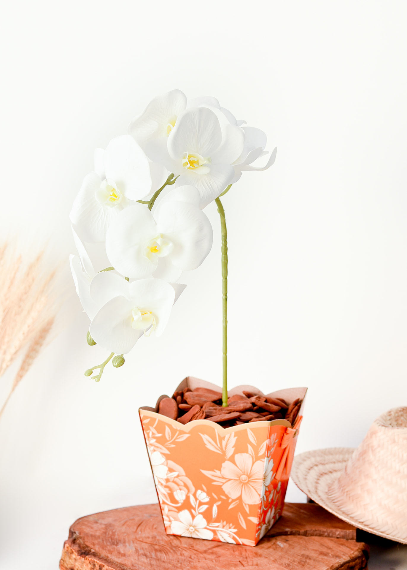 Orquídea Especial 10 — Phalaenopsis Branca Cachepô Coral